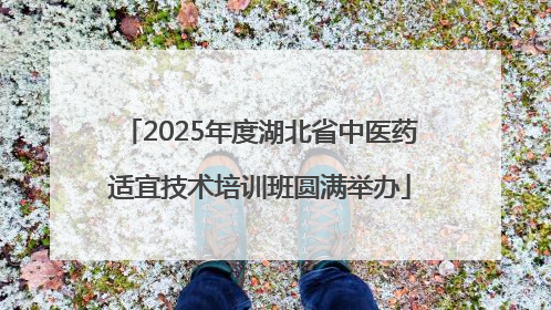 2025年度湖北省中医药适宜技术培训班圆满举办