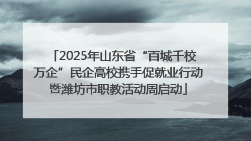 2025年山东省“百城千校万企”民企高校携手促就业行动暨潍坊市职教活动周启动