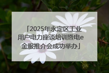 2025年永定区工业用户电力座谈培训暨电e金服推介会成功举办
