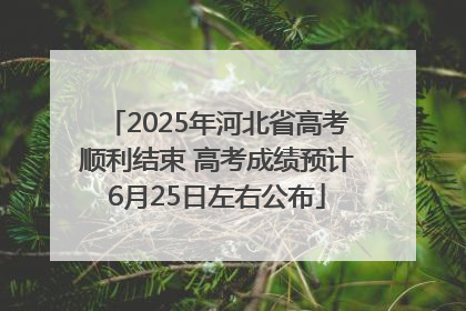 2025年河北省高考顺利结束 高考成绩预计6月25日左右公布