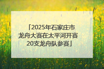 2025年石家庄市龙舟大赛在太平河开赛 20支龙舟队参赛