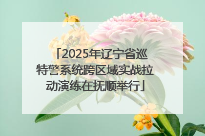2025年辽宁省巡特警系统跨区域实战拉动演练在抚顺举行