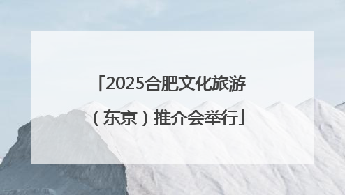 2025合肥文化旅游（东京）推介会举行