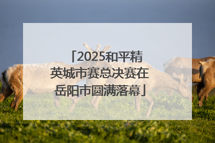 2025和平精英城市赛总决赛在岳阳市圆满落幕