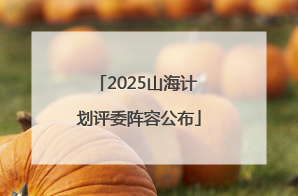 2025山海计划评委阵容公布