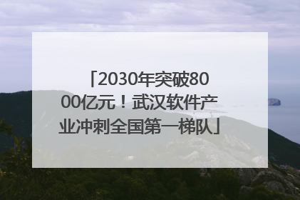 2030年突破8000亿元！武汉软件产业冲刺全国第一梯队