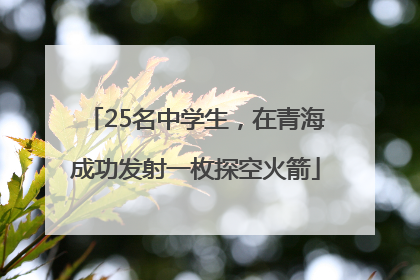 25名中学生，在青海成功发射一枚探空火箭