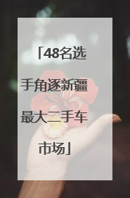 48名选手角逐新疆最大二手车市场