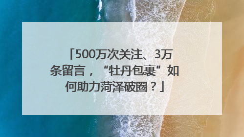 500万次关注、3万条留言，“牡丹包裹”如何助力菏泽破圈？
