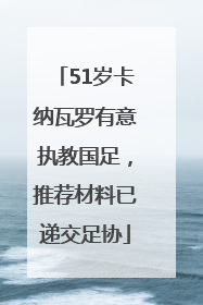 51岁卡纳瓦罗有意执教国足，推荐材料已递交足协