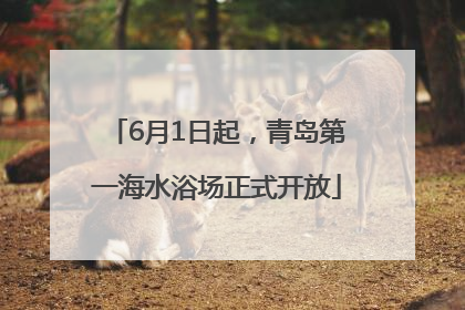 6月1日起，青岛第一海水浴场正式开放