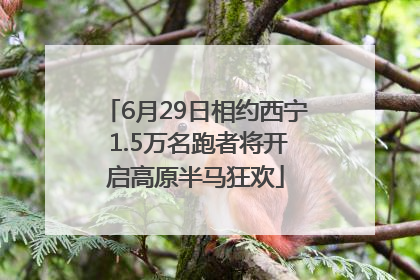 6月29日相约西宁 1.5万名跑者将开启高原半马狂欢