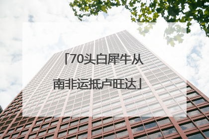 70头白犀牛从南非运抵卢旺达