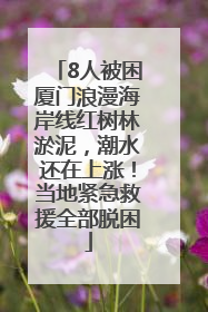 8人被困厦门浪漫海岸线红树林淤泥，潮水还在上涨！当地紧急救援全部脱困