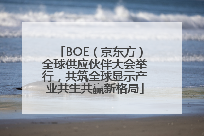 BOE（京东方）全球供应伙伴大会举行，共筑全球显示产业共生共赢新格局