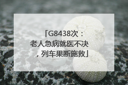 G8438次：老人急病就医不决，列车果断施救