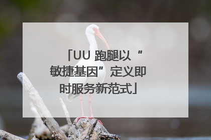 UU 跑腿以“敏捷基因”定义即时服务新范式